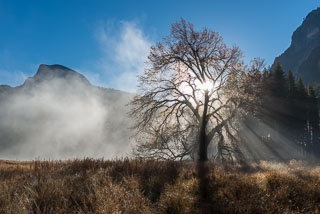 DL_20161029_DSC3326-Yosemite.jpg