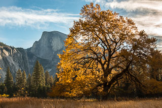 Yosemite_DL_20121103_DSC0968_v1.jpg