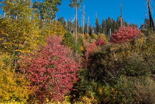 Yosemite_DL_20121103_DSC1080-Edit.jpg
