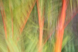 DL_20220614_DSC0299_v1.jpg