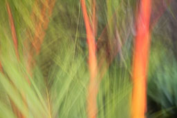 DL_20220614_DSC0301.jpg