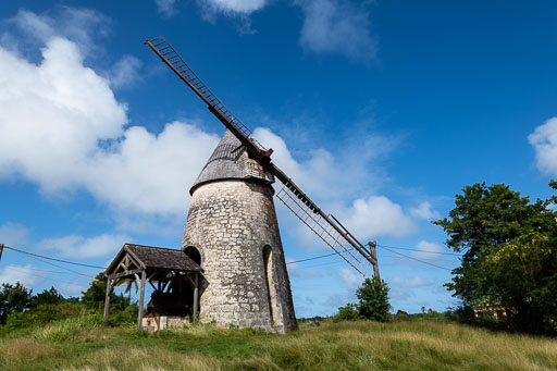 DL_20221228_DSC3040.jpg