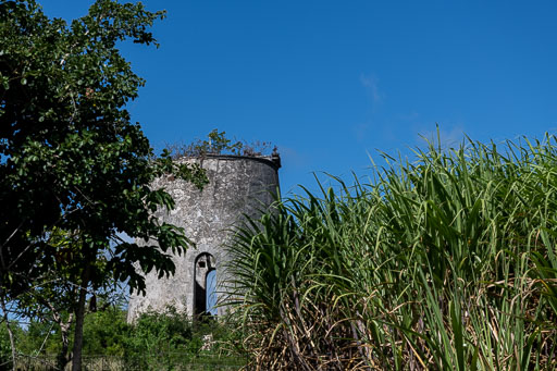 DL_20221229_DSC3313.jpg