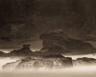 Oregon_Coast_DL_20121124_DSC2036.jpg